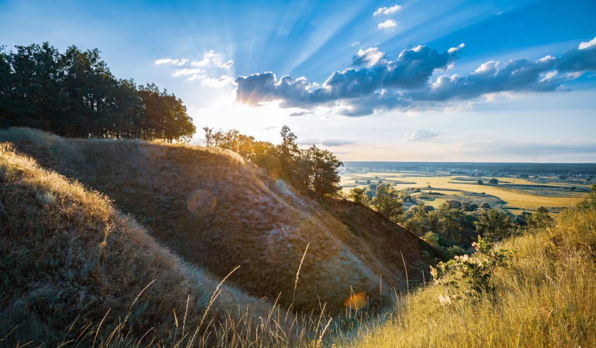 Czy warto używać olejków kosmetycznych?