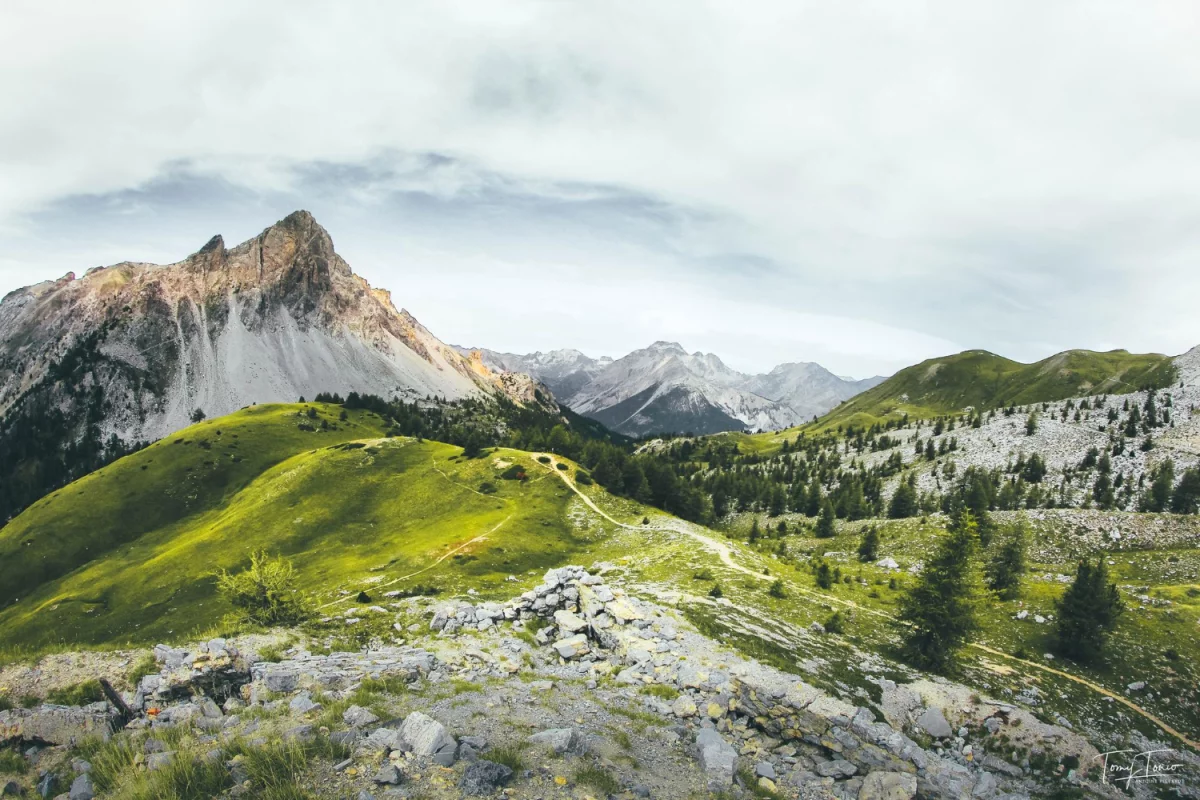 Radzimy jak kupić wyposażenie domu lepiej