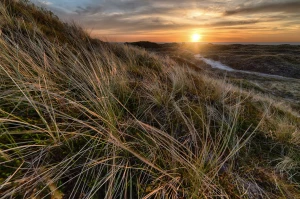 uczyć się hiszpańskiego? Jak ekspert!